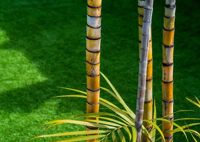 Villa Infinite Ocean View 20m Above Ocean & *